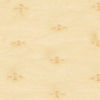 Warm White Regal Dupatta Accessories